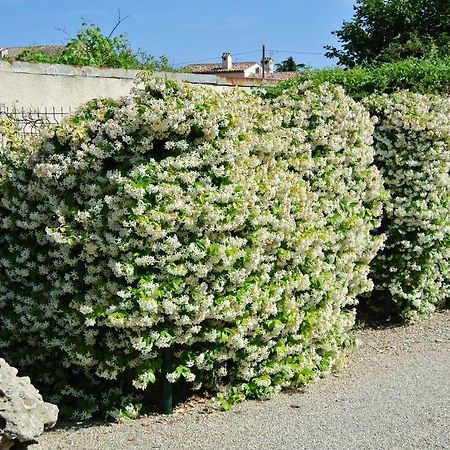 villa Les Cactees Petite résidence de tourisme classée 3 étoiles Antibes Esterno foto